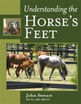  Understanding the Horse's Feet