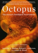  Octopus the Oceans Intelligent Invertebrate