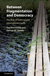  Between Fragmentation and Democracy