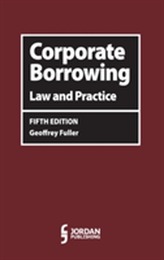  Corporate Borrowing