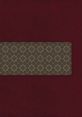  KJV Study Bible, Leathersoft, Maroon/Brown, Red Letter Edition