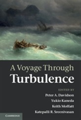 A Voyage Through Turbulence
