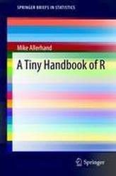 A Tiny Handbook of R