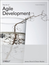  Art of Agile Development