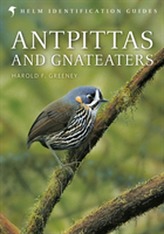  Antpittas and Gnateaters