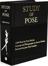  Study of Pose