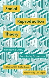  Social Reproduction Theory