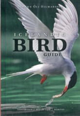  Icelandic Bird Guide: Appearance, Way of Life, Habitat