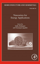  Nanowires for Energy Applications