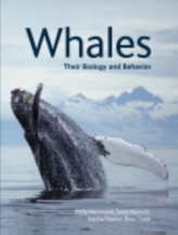  Whales