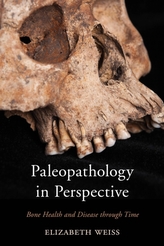  Paleopathology in Perspective