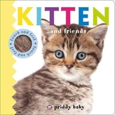  Kitten and Friends