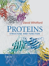  Proteins