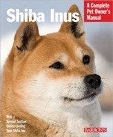  Shiba Inus