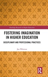 Fostering Imagination in Higher Education