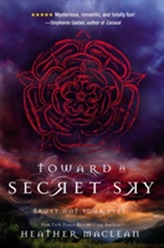  Toward a Secret Sky