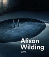  Alison Wilding