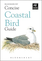  Concise Coastal Bird Guide