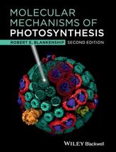  Molecular Mechanisms of Photosynthesis