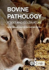  Bovine Pathology
