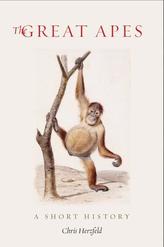 The Great Apes