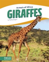  Animals of Africa: Giraffes