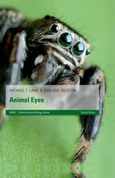  Animal Eyes