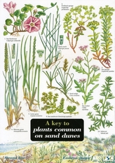  Key to Plants Common on Sand Dunes