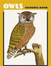  Owls Coloring Book