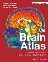 The Brain Atlas