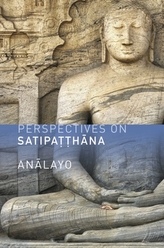  Perspectives on Satipatthana