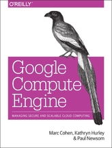  Google Compute Engine