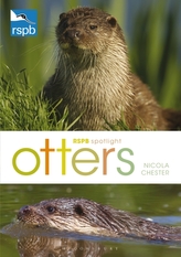  RSPB Spotlight: Otters