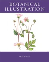  Botanical Illustration