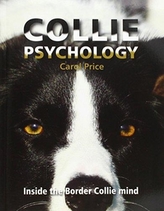  Collie Psychology