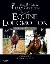  Equine Locomotion