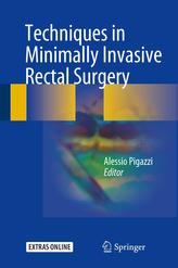  Techniques in Minimally Invasive Rectal Surgery