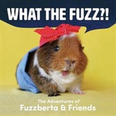  What the Fuzz?!