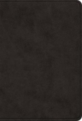  ESV Value Large Print Compact Bible