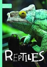  Reptiles