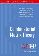  Combinatorial Matrix Theory