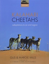  Kalahari Cheetahs