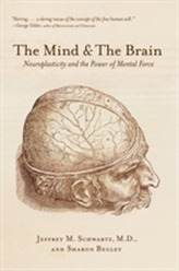 The Mind and the Brain