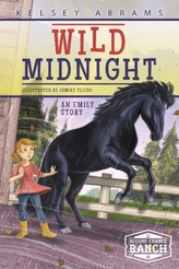  Wild Midnight: An Emily Story