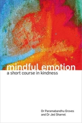  Mindful Emotion