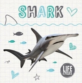  Shark