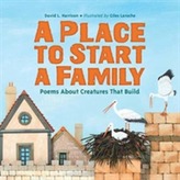  Place to Start a Family