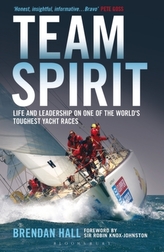  Team Spirit