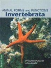  Invertebrata