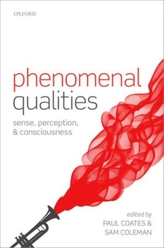  Phenomenal Qualities